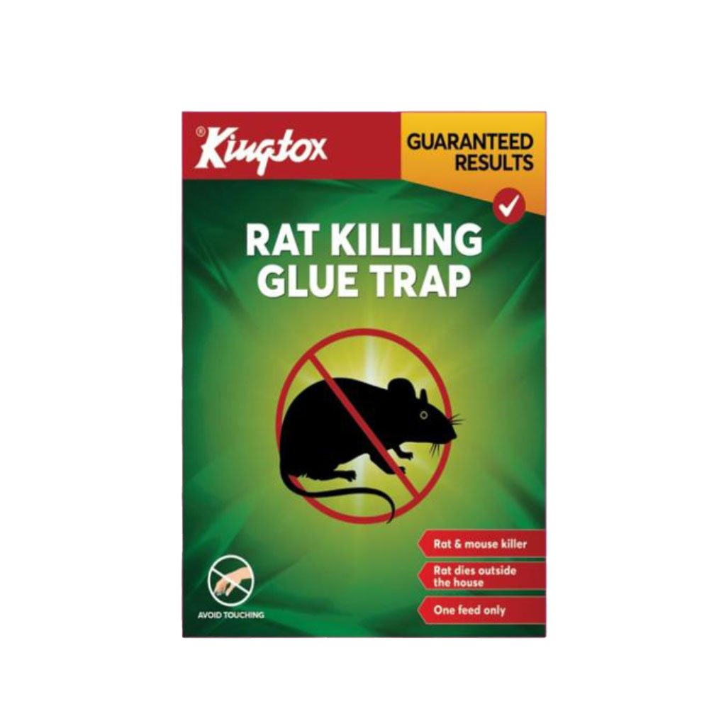 KINGTOX RAT & MOUSE KILLER 40GM