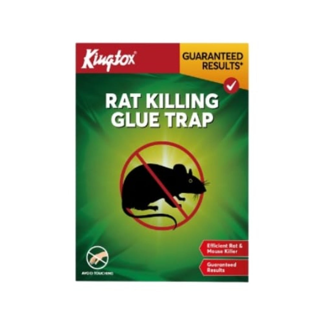 KINGTOX RAT KILLING GLUE TRAP