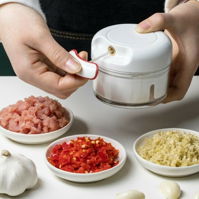 MINI FOOD CHOPPER MANUAL YG-722