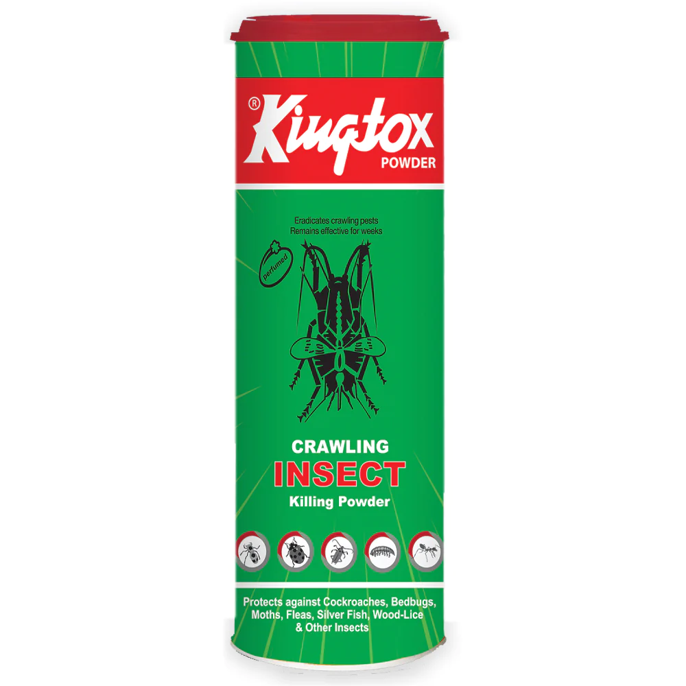 KINGTOX CRAWLING INSECT KILLING POWDER 125GM