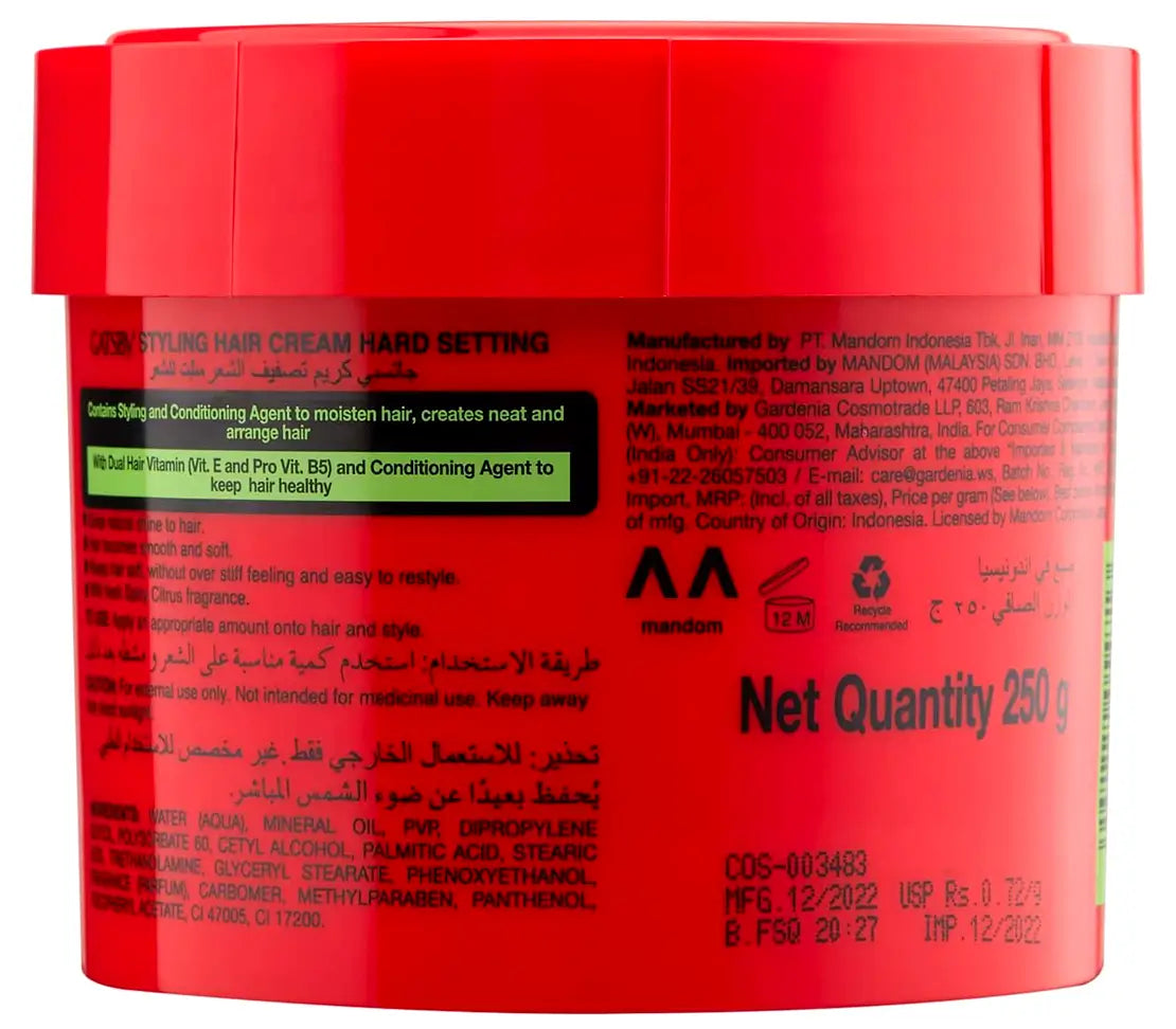 GATSBY NEAT ARRANGE STYLING HAIR CREAM 250GM