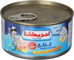 AMERICANA LIGHT TUNA MEAT IN SUNFLOWER OIL 160GM