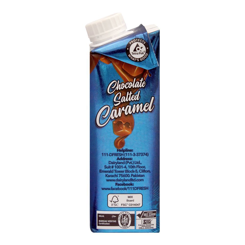 DAYFRESH FLAVOURED MILK CHOCOLATE SALTED CARAMEL 225ML