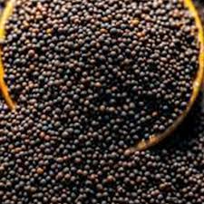 NATURE FOOD BLACK MUSTARD 100GM