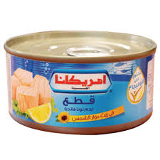 AMERICANA LIGHT TUNA MEAT IN SUNFLOWER OIL 160GM