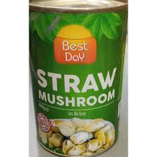 BEST DAY STRAW MUSHROOM 400GM