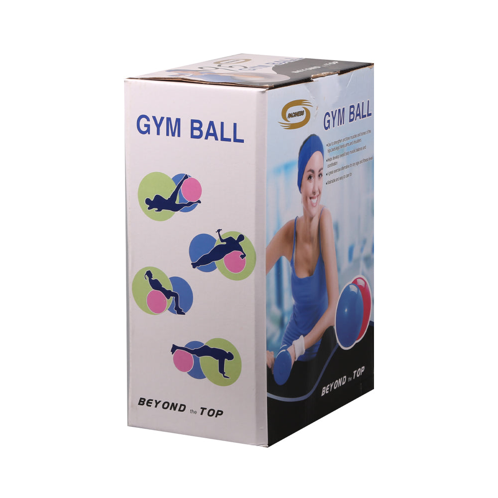 RACINES PLASTIC GYM BALL