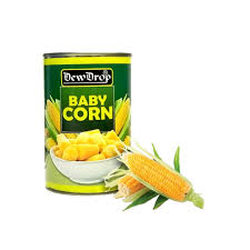 DEWDROP BABY CORN 380GM