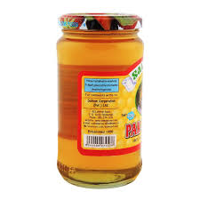 SALMANS PAK HONEY JAR 500GM