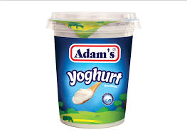 ADAMS YOGURT 400GM