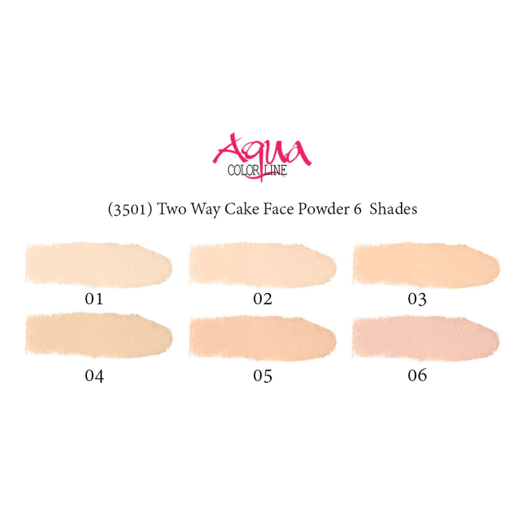 AQUA COLOR LINE TWO WAY CAKE OIL CONTROL POWDER CAKE 6GM NO.01